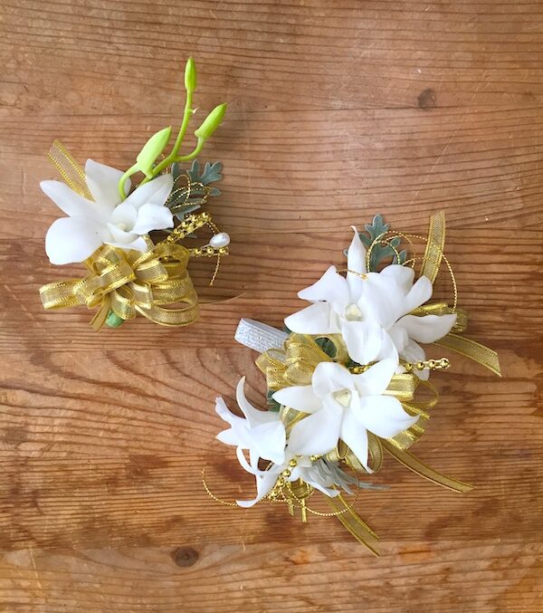 Duet Dendrovium